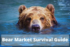 Bear Market Rules